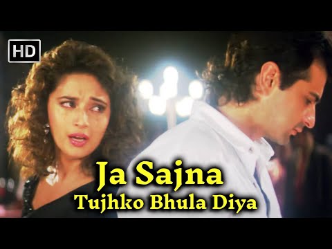 जा सजना तुझको भुला दिया | Ja Sajna Tujhko Bhula | Raja (1995) | Madhuri Dixit | Udit Narayan Songs