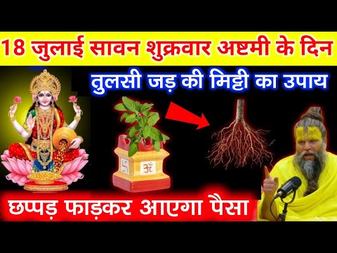 18 जुलाई सावन शुक्रवार अष्टमी के दिन तुलसी जड़ की मिट्टी का उपाय बना देगा धनवान करोड़पति #premanand