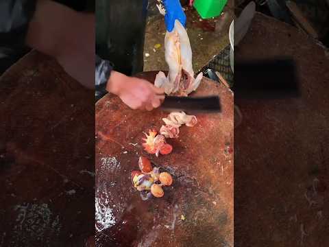 Mountain Chicken / Hill Chicken / pahari murgi cutting #shorts #triending #chicken