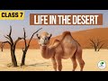 Desert Regions and Ladakh