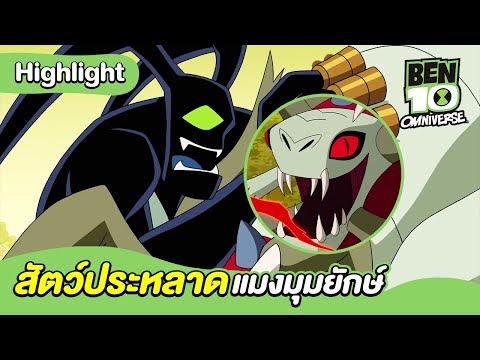 สัตว์ประหลาดแมงมุมยักษ์ | เบ็นเท็น โอมนิเวิร์ส | Ben 10 Omniverse | MrBoom