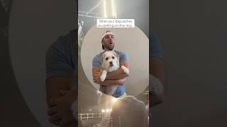 When your dog catches you petting another dog…