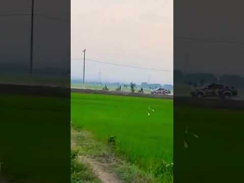Berhamburan di kejar polisi #short #shorts #videoshorts