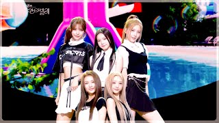 HITGS - Dolphin (The Seasons) | KBS WORLD TV 250725
