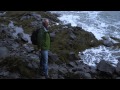 Fossil Hunting in the Bay of Fundy