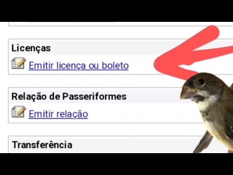 Você já emitiu sua licença anual do Ibama ?