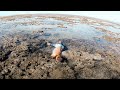 Marine Life Safety and Behavior