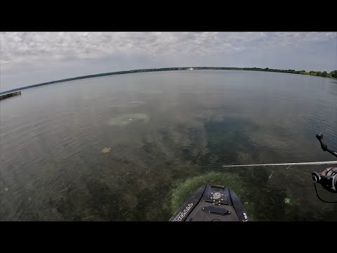 These underwater circles house monster bass