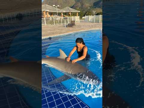 Mom in the pool with shark ๐
๐ฑ๐ฉ๐ปโค๏ธ๐ฆ๐๐๐