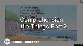 Comprehension Little Things Part 2