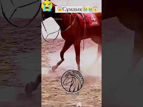 please serve animals | horse ke liye ek like karen | #animallover #horse #kindly