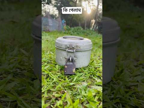mini vlog