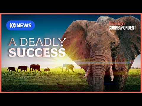 YouTube video thumbnail: What to Do About the 5-ton Walking “Vermin” Plaguing Botswana