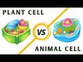 Cell Functions and Structures in Biology