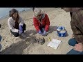 Seabird Monitoring and Ecosystem Health