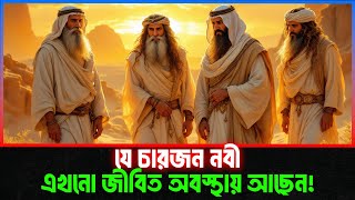 চার জন নবী যারা এখনও জীবিত! তারা কারা এবং কেন আল্লাহ তাদের জীবিত রেখেছেন? Islamic Story Bangla