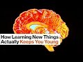 Understanding Learning and Memory