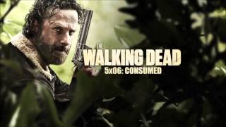 TWD- Bad Blood- Alison Mosshart & Eric Arjes