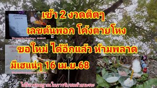 ให้ 807 เข้า 87 ปังๆ เลขต้นพอก โค้งตายโหง แม่คนจริงๆ งวดนี้ขอใหม่ ได้แล้ว 16 เม.ย.68