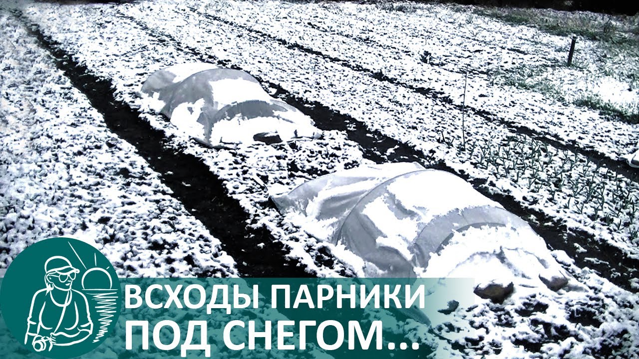 Огород гордеевых в начале апреля заморозки и снег на первых посевах и парниках