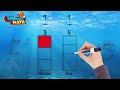 Comparing Fractions with Like Numerators in Real Life