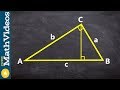 Triangle Altitudes and Similarity