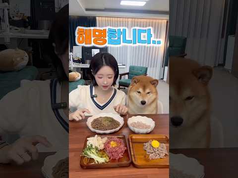 제가 다 말씀 드리겠습니다..