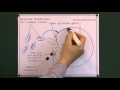 Glucose Transport and Insulin Functions