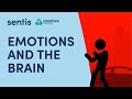 Understanding Emotions and Their Impact