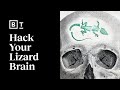 Understanding the Brain's Functional Layers