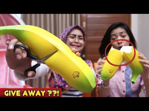 Download Video SQUISHY DARES! GUNTING KING BANANA.. Download Video SQUISHY DARES! GUNTING KING BANANA..