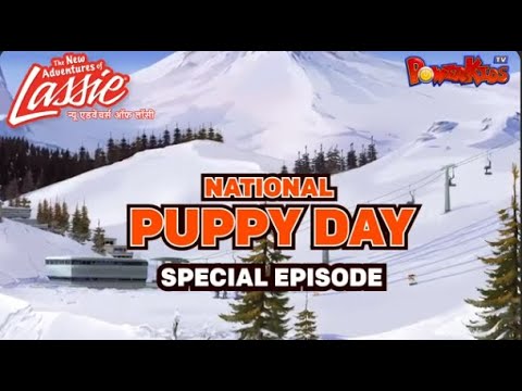 NATIONAL PUPPY DAY SPECIAL EPISODE | ZOE - SWEETEST PET | Special Mega Episode | LASSIE AND ZOE