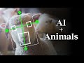 AI and Its Ethical Implications