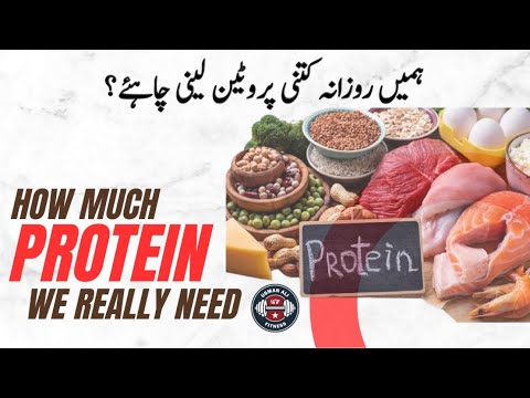 How Much Protein You Really Need | Is Too Much Protein Dangerous? | Muscle Building | Urdu/Hindi