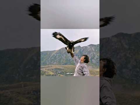 "Boy and Eagle: From Weak to Mighty"#movie #movieclips #recap