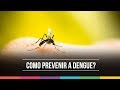 Sinais e Sintomas da Dengue