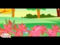 Exploring the Functions of Plant Parts