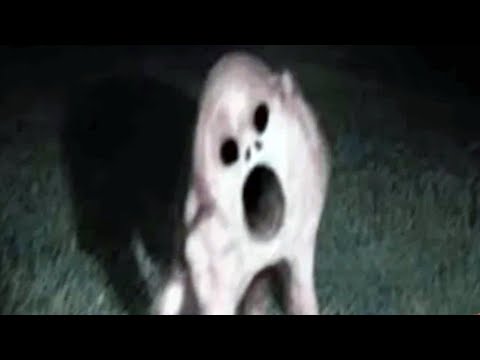 THIS KEEPS ME AWAKE AT NIGHT IN SCARY VIDEOS