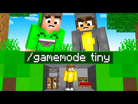 Using /gamemode tiny To WIN In Minecraft!