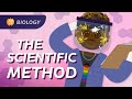 Exploring the Scientific Method in Biology