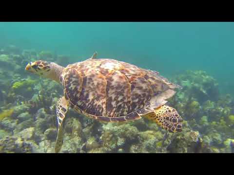 Our Turks and Caicos Islands