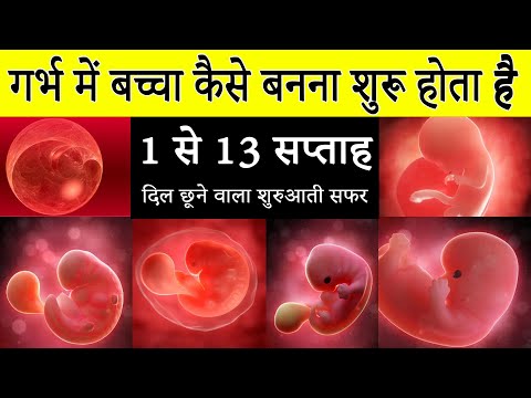 गर्भधारण से भ्रूण बनने तक का सफर|How A Baby Developed in 1 to 3 Month |Shukranu Se Bachcha kese bana