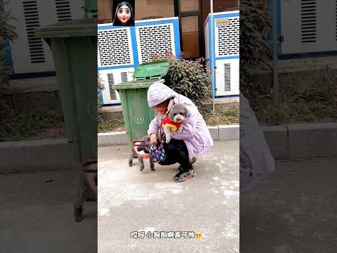 شوفوا 👀 الكلب الوفي عمل ايه 🤔 وايه كانت جزاته 😭😭