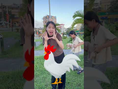 Nhà em có con gà trống #shorts
