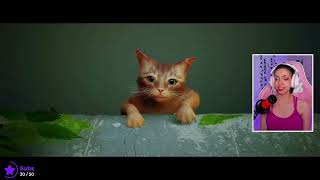 Gatinho cyberpunk - STRAY (19/07/2022)