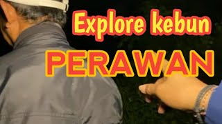 terdengar suara merintih !!!