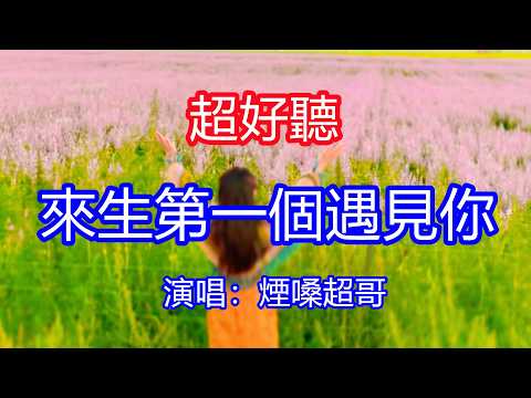 天呀！太好聽了，煙嗓超哥超火傷感情歌《來生第一個遇見你》，獨特的嗓音，單曲循環聽不夠！注定今生做不了夫妻，把我所有溫柔愛意都給你！唱的撕心裂肺，聽得痛哭流涕！新疆伊昭公路風景！傷感情歌！療癒情歌！