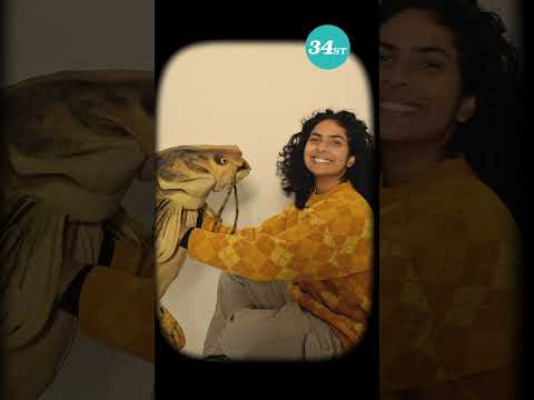 Renaissance in Love Teaser