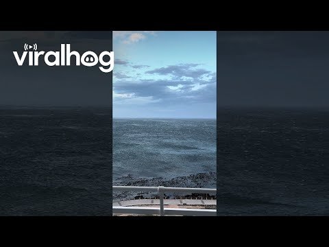 Strong Winds Push Waves Away From Shoreline || ViralHog