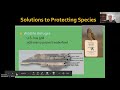 Conservation Strategies and Concepts